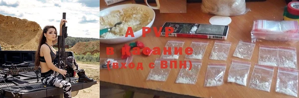 apvp Бородино